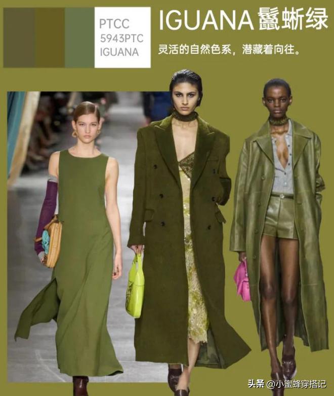 冬季流行色超越白黑时尚新宠来袭！CQ9电子游戏平台惊艳！2024(图1)